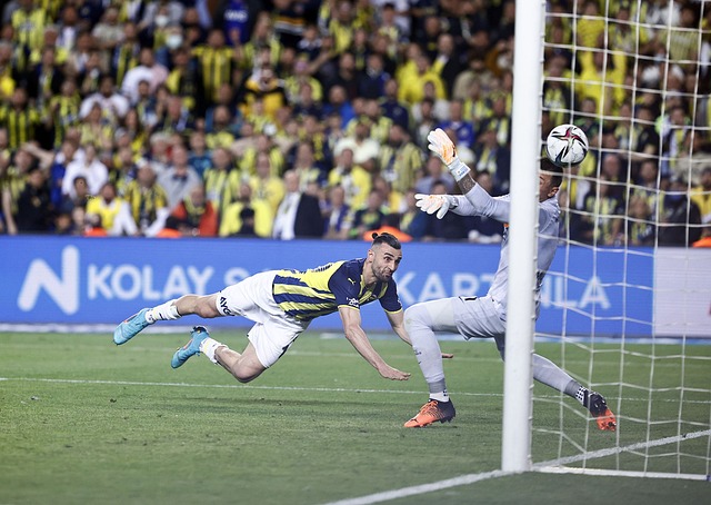 机械模仿 机械模仿