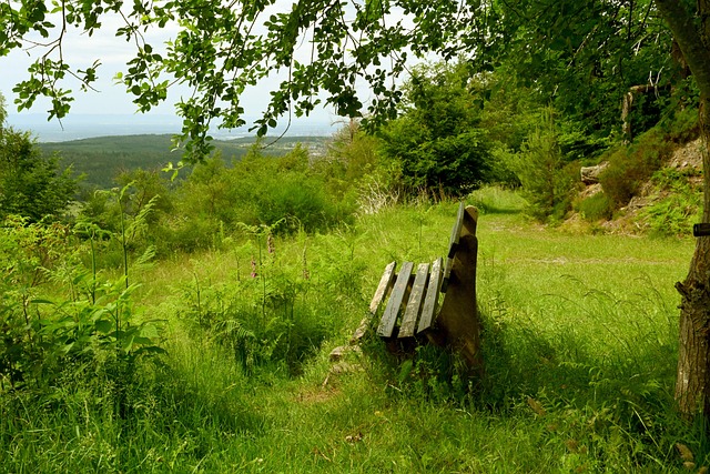 卓越的进球 卓越的进球